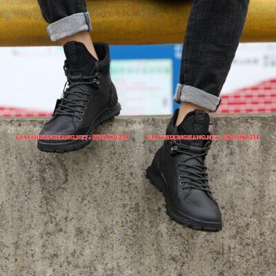 Giày dây thời trang ECCO chất da, mã BC832304