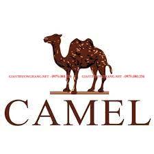 Logo giày Camel Active, logo lạc đà