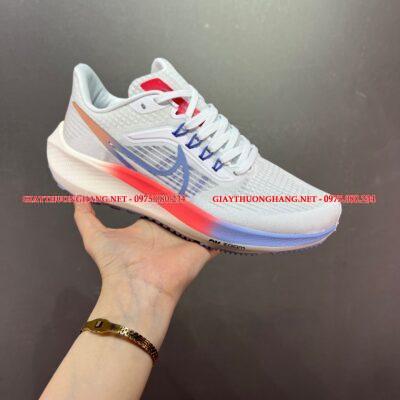 Giày thể thao Pegasus nam cao cấp 2022, Mã BNR004