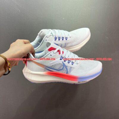 Giày thể thao Pegasus nam cao cấp 2022, Mã BNR004