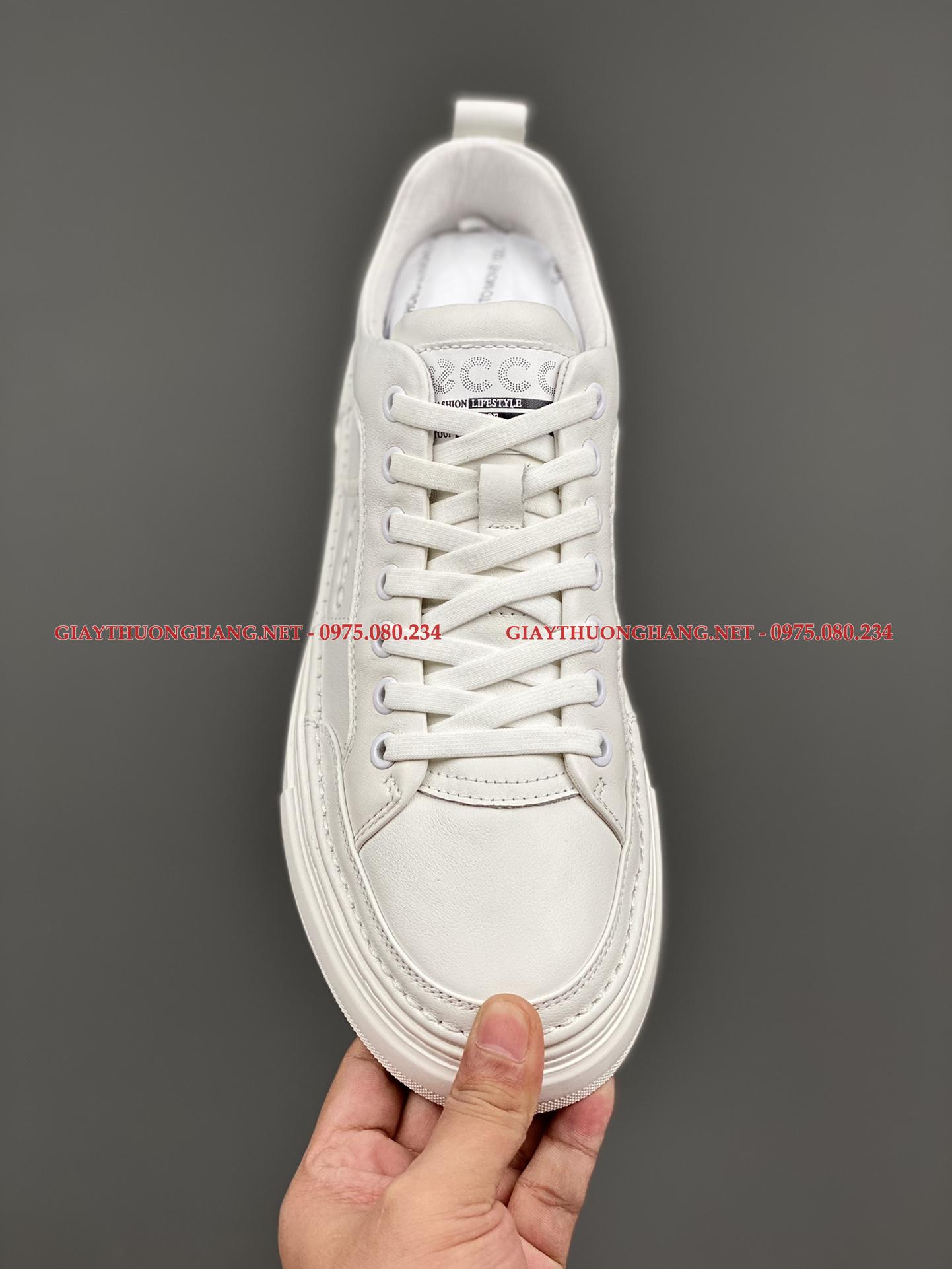 z3585651969409_f149380443f279e6a9a25105a70be332