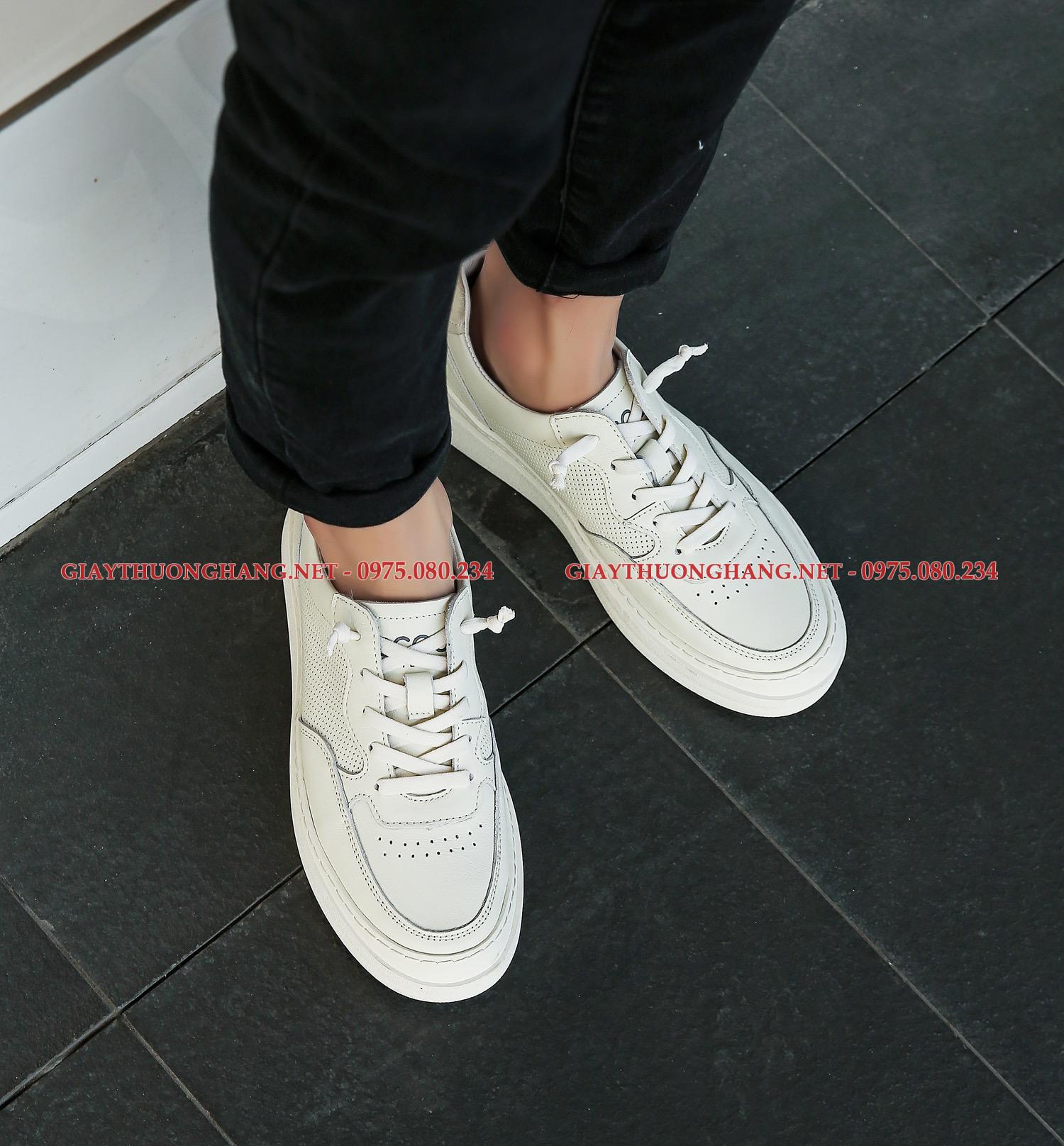 z3585656810257_57246603ee256700e8c7cee60337219a