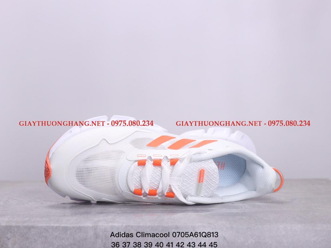 z4492054691566_c684f454cef08321c2399cd490fb6e93