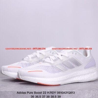 Giầy thể thao đẹp Pure Boost 23 mã BM137