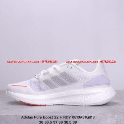 Giầy thể thao đẹp Pure Boost 23 mã BM137