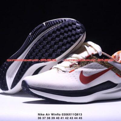 Giày Nike Air Winflo 10 năm 2025 nhiều màu, mã BM167